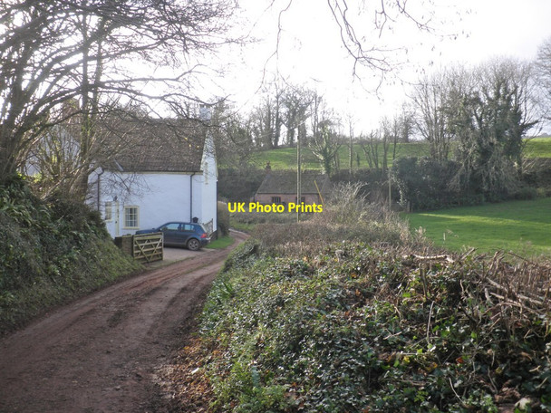 Photo 6"x4" Minor road at Handy Cross Handy Cross\/ST1231 c2014