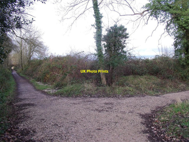 Photo 6"x4" Ticknall Tramway junction Southwood\/SK3521 c2014