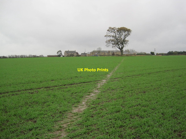 Photo 6"x4" Footpath towards Mouldshaugh Felton\/NU1800 c2014