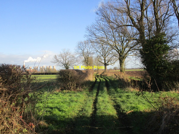 Photo 6"x4" Wranglands Lane Stokeham c2014