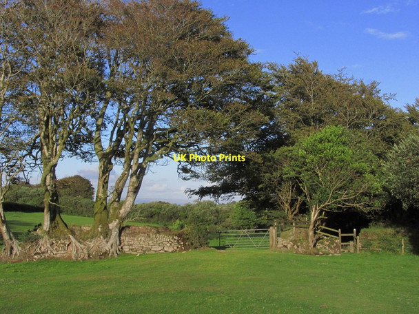 Photo 6"x4" Evening view on path between South Carne & Trewint Altarnun c2014
