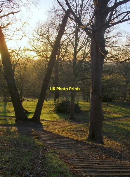 Photo 6"x4" Steps on the escarpment, south of Pembroke Lodge Kingston Upon Thames c2014