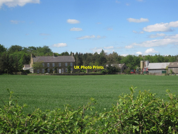 Photo 6"x4" Oak Dene Grange Farm North End\/NU1301 c2014