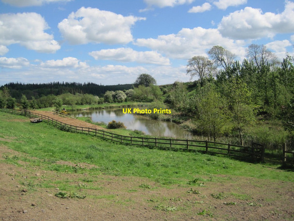 Photo 6"x4" Fishing Pond, Felton Fence Old Swarland c2014