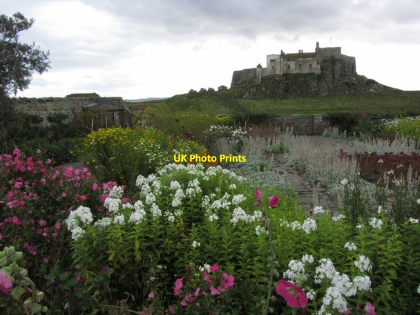 Photo 6"x4" Holy Island - Gertrude Jekyll Gardens near Lindisfarne Castle Holy Island\/NU1241 c2014