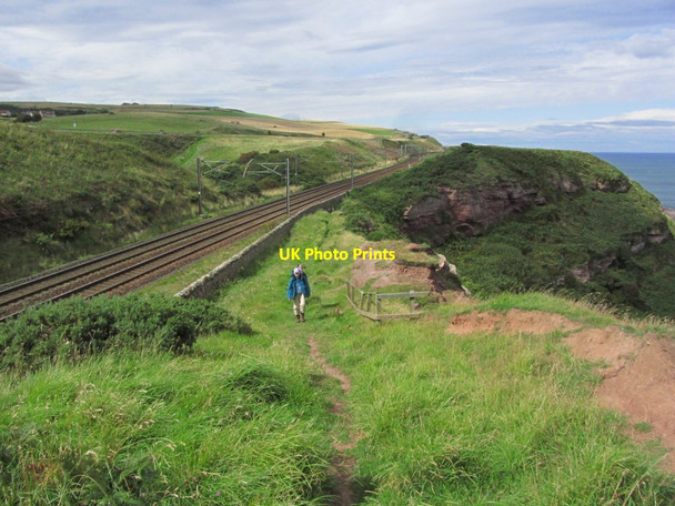 Photo 6"x4" Walking on the Berwickshire  coastal path above Lamberton Beach Marshall Meadows c2014