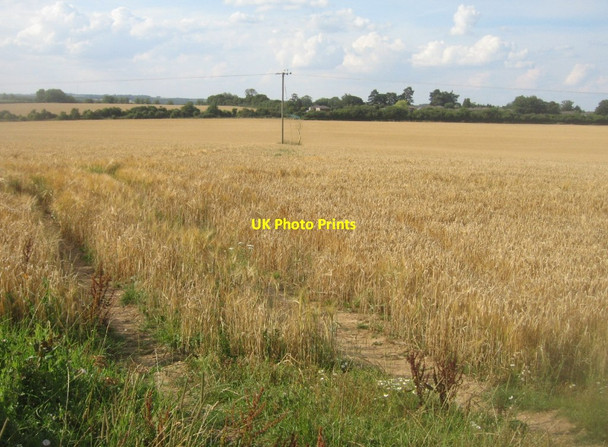 Photo 6"x4" Spot the footpath Pardown c2014