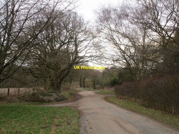 Photo 6"x4" Westmoor Lane Kettlethorpe\/SK8475 c2014