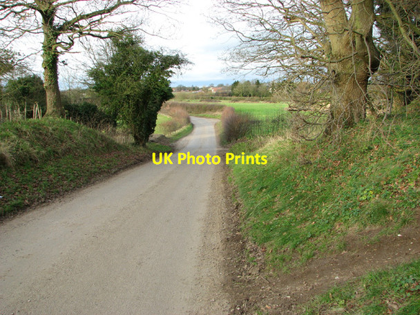Photo 6"x4" View along Ashwellthorpe Road Ashwellthorpe c2014