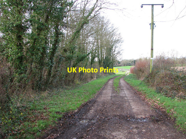 Photo 6"x4" Track to the sewage works Ashwellthorpe c2014