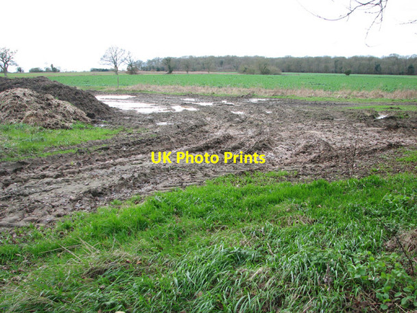 Photo 6"x4" Fields west of New Road Ashwellthorpe c2014