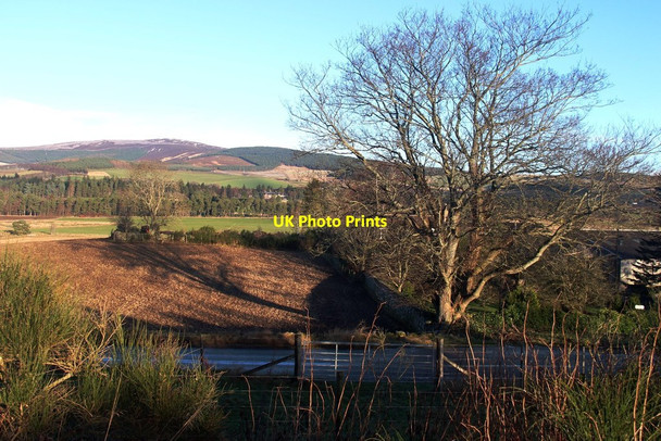 Photo 6"x4" Farmland near Tarland Tarland c2014