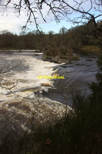 Photo 6"x4" Campsie Linn from the Guildtown side Stanley\/NO1033 c2014