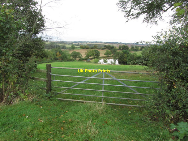 Photo 6"x4" Pond below Wardenhill Farm, Chipping Warden Aston le Walls c2014
