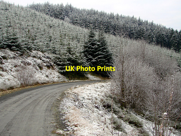 Photo 6"x4" Forestry road on Esgair Ychion Llanifyny c2011