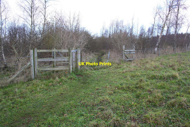 Photo 6"x4" Footpath towards Glyme Farm enters woodland Chipping Norton c2014