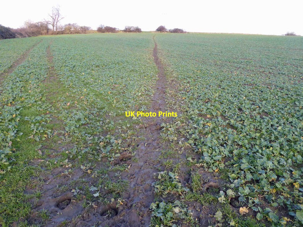 Photo 6"x4" Muddy footpath to Ardsley Low Laithes\/SE3804 c2014