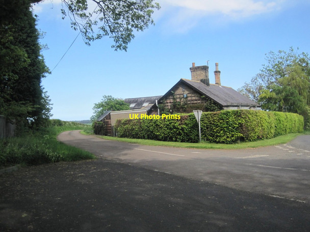 Photo 6"x4" Lucker Cottage Lucker c2014
