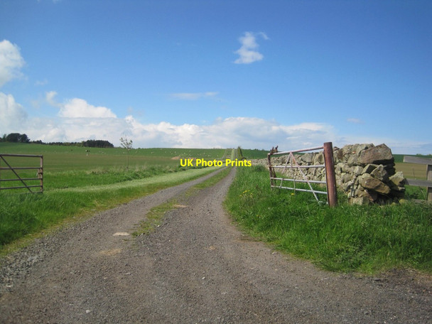 Photo 6"x4" Farm Track towards Law Plantation Warenford c2014