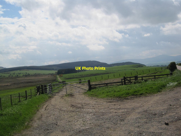 Photo 6"x4" Track towards Hay Hill Greendykes\/NU0628 c2014
