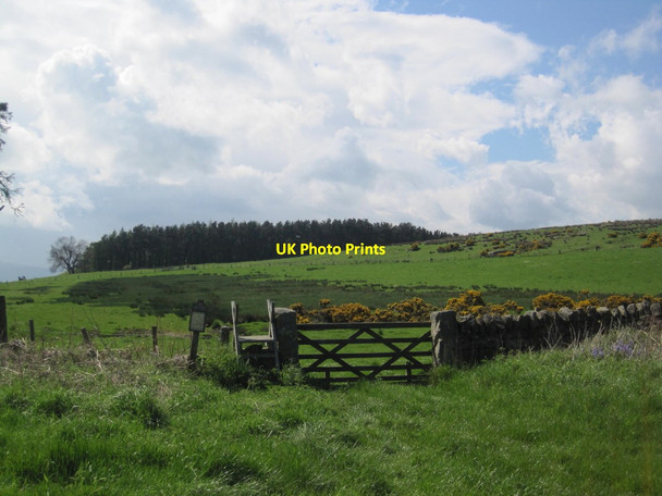 Photo 6"x4" Stile and Footpath towards Park Plantation Greendykes\/NU0628 c2014