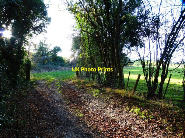 Photo 6"x4" Bend on bridleway south of Long Road Soberton c2014