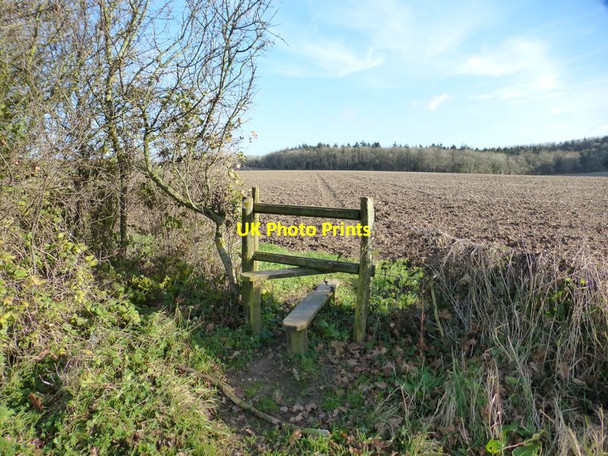 Photo 6"x4" Footpath goes east from bridleway Brockbridge c2014