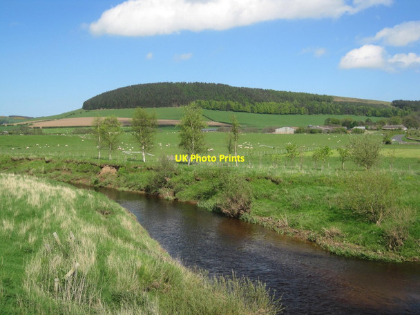 Photo 6"x4" River Till Greendykes\/NU0628 c2014