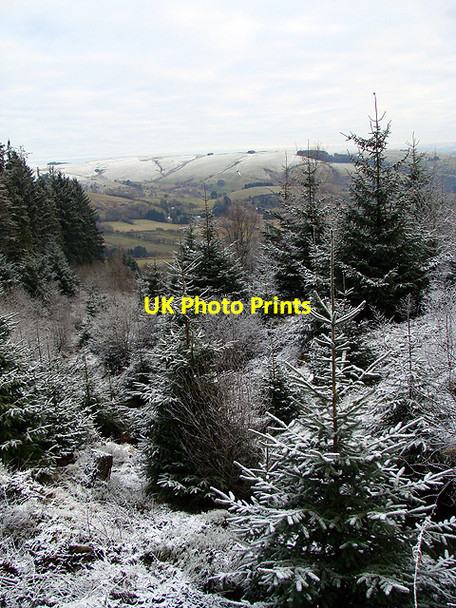 Photo 6"x4" Looking into the valley from Esgair Ychion Llanifyny c2011