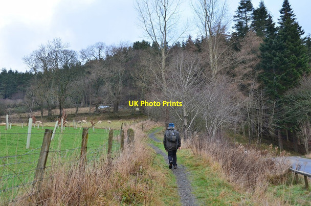 Photo 6"x4" Christmas Day at Glentress Glentress\/NT2839 c2014