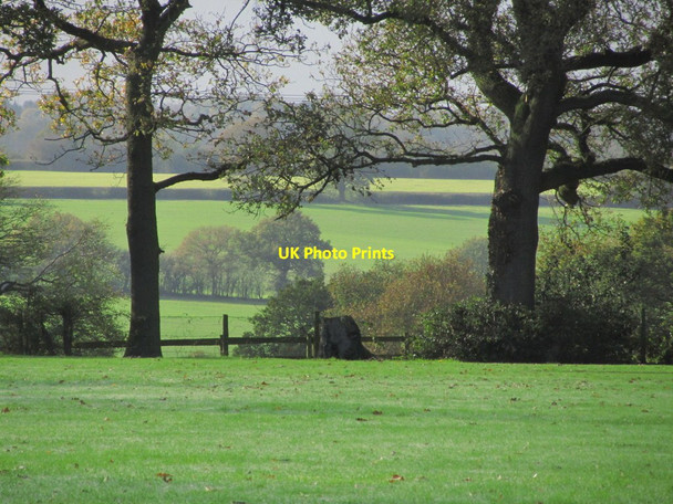 Photo 6"x4" View WSW across meadowland from playing field at Little Berkhamsted Epping Green\/TL2906 c2014