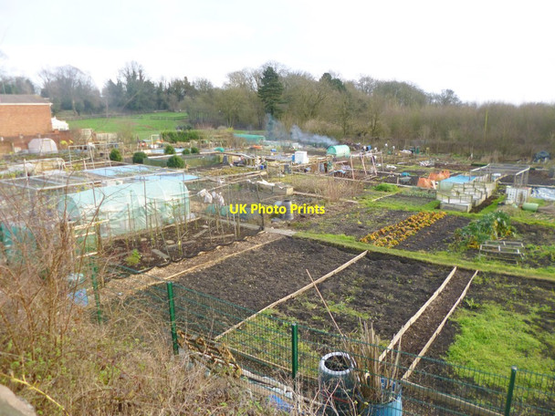 Photo 6"x4" Sedgley, allotments Sedgley c2014