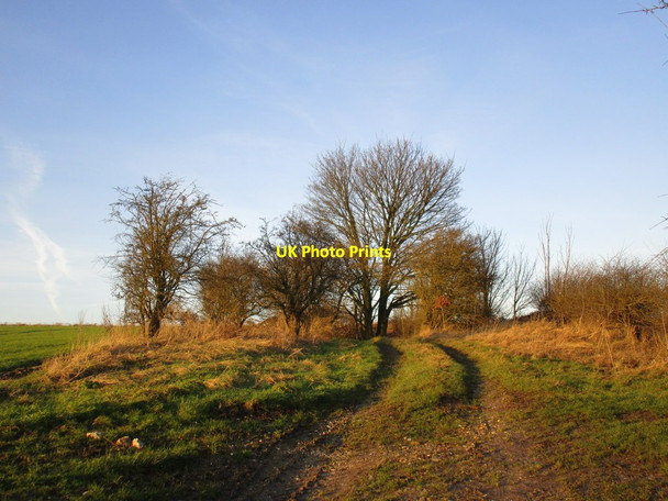 Photo 6"x4" Old quarry entrance Nunburnholme c2014