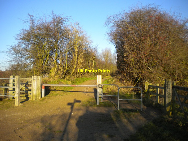 Photo 6"x4" Path junction, Shipley Gate Eastwood\/SK4646 c2014