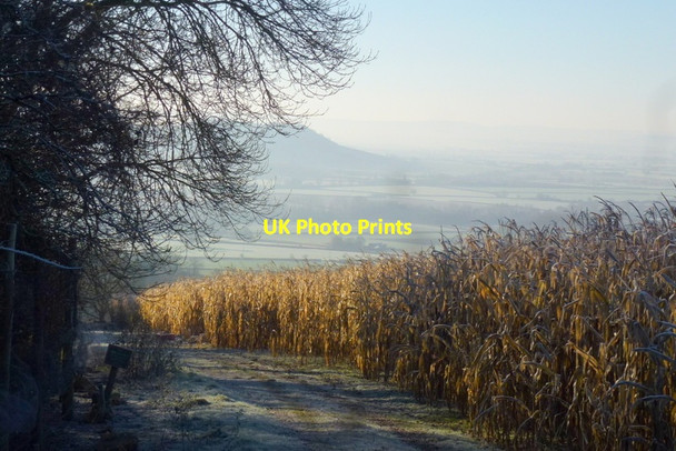 Photo 6"x4" View to Oxenton Hill Conderton c2014