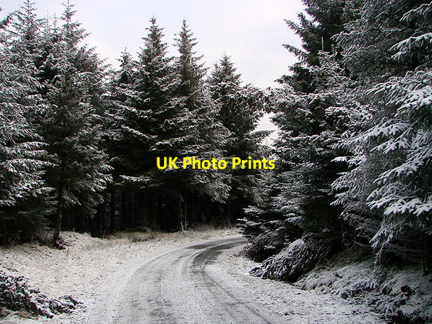 Photo 6"x4" Forestry road, Esgair Ychion Llanifyny c2011 P1