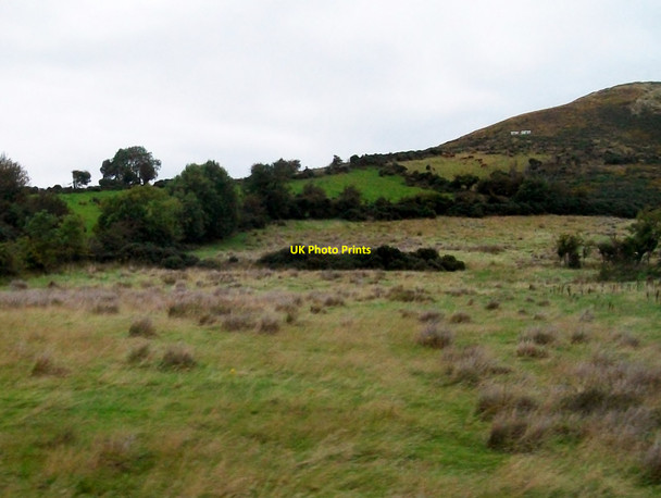 Photo 6"x4" Rough pasture between the B30 and the Sugar Loaf Hill Camlough c2014