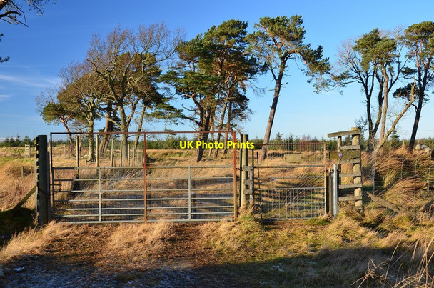 Photo 6"x4" Gates near the Tweeddale Burn, Toxside Moss Tweeddaleburn\/NT2752 c2014
