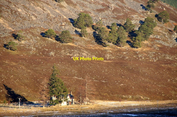 Photo 6"x4" Allanmore, near Braemar Allanaquoich c2014