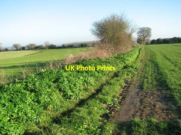 Photo 6"x4" Path along field boundary Hellington c2014