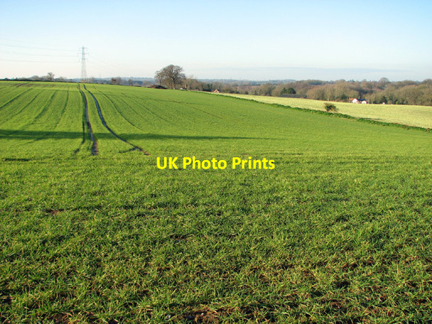 Photo 6"x4" Crop fields by Rookery Farm Hellington c2014