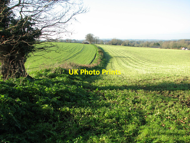 Photo 6"x4" Field boundary hedge by Rookery Farm Hellington c2014