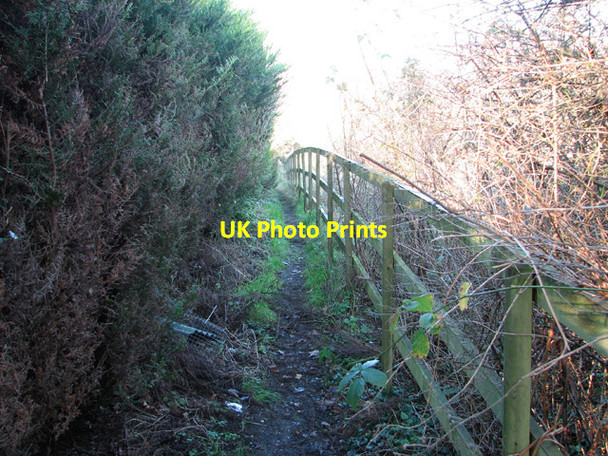 Photo 6"x4" Footpath to Rockland St Mary Hellington c2014
