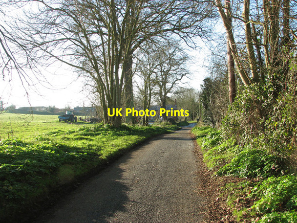 Photo 6"x4" Approaching Rookery Farm Cottages Hellington c2014