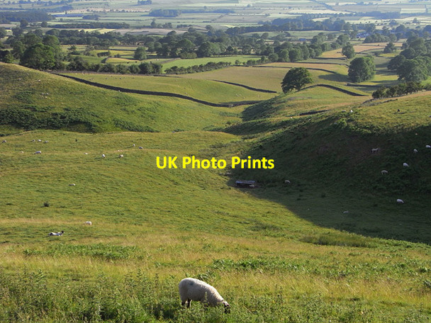 Photo 6"x4" Pastures, Gamblesby, Glassonby Gamblesby c2010