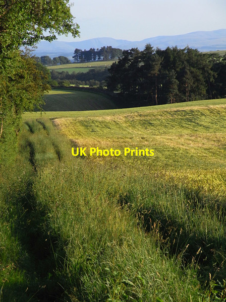 Photo 6"x4" Track and farmland, Glassonby Gamblesby c2010