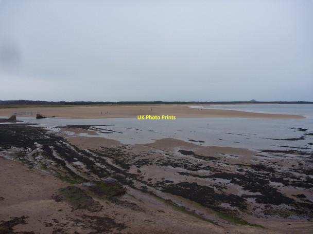 Photo 6"x4" Coastal East Lothian : Another New Year At Belhaven Dunbar c2015
