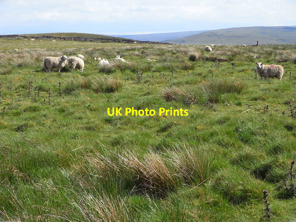 Photo 6"x4" Middle Fell, Alston Garrigill c2010