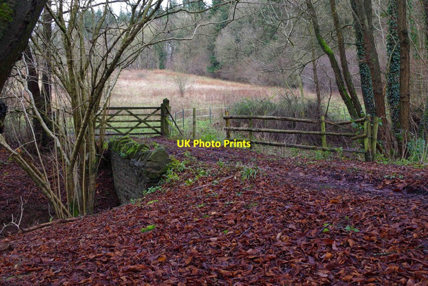 Photo 6"x4" Private access road and bridge, Eymore Wood, near Trimpley, Worcs Holbeache c2015
