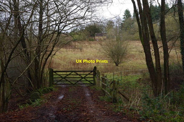 Photo 6"x4" Gate on private access road, Eymore Wood, Trimpley, Worcs Holbeache c2015